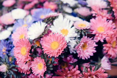 Close-up of flowers