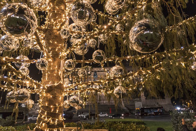 Low angle view of illuminated christmas tree at night