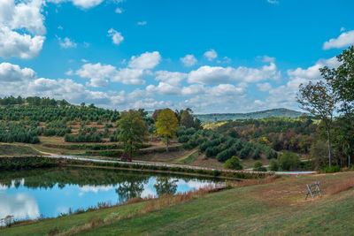 Scenic view of trees on landscape against sky