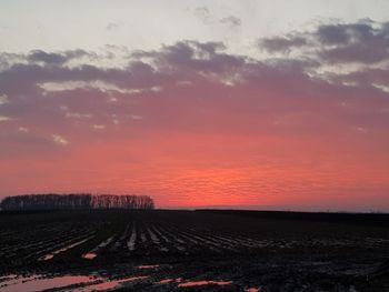 Scenic view of field against sky during sunset