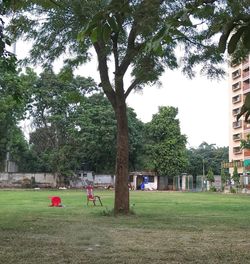 People in park
