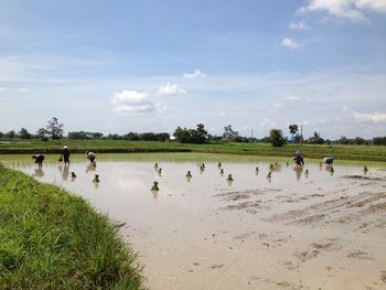 Farmers working at farm against sky