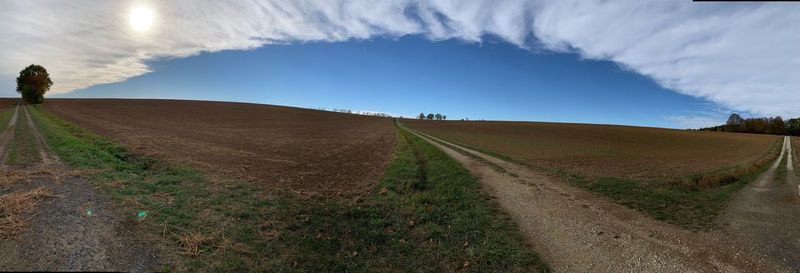 Scenic view of agricultural field against sky