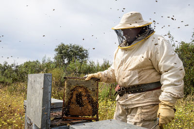 Rural and natural beekeeper, working to collect honey from hives