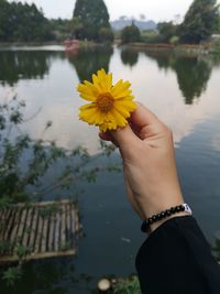 Close-up of hand holding yellow flowering plant by lake