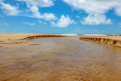 Scenic view of beach against sky