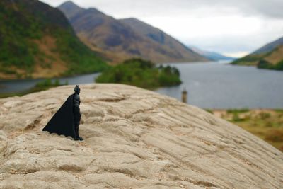 Close-up of bird on lake against mountains