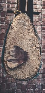 Close-up of bread on tree stump