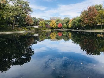 Reflection of trees in lake against sky