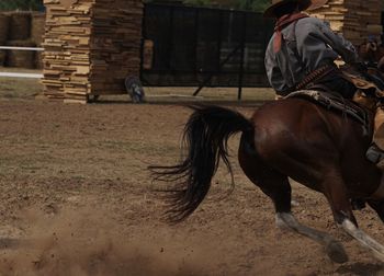 Men riding horse in stable