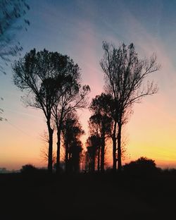 Silhouette of trees at sunset