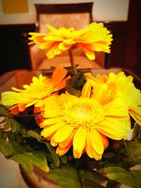 Close-up of yellow flowers blooming outdoors