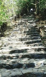 Man walking on steps amidst trees