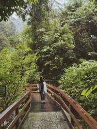 Woman walking on footbridge in forest