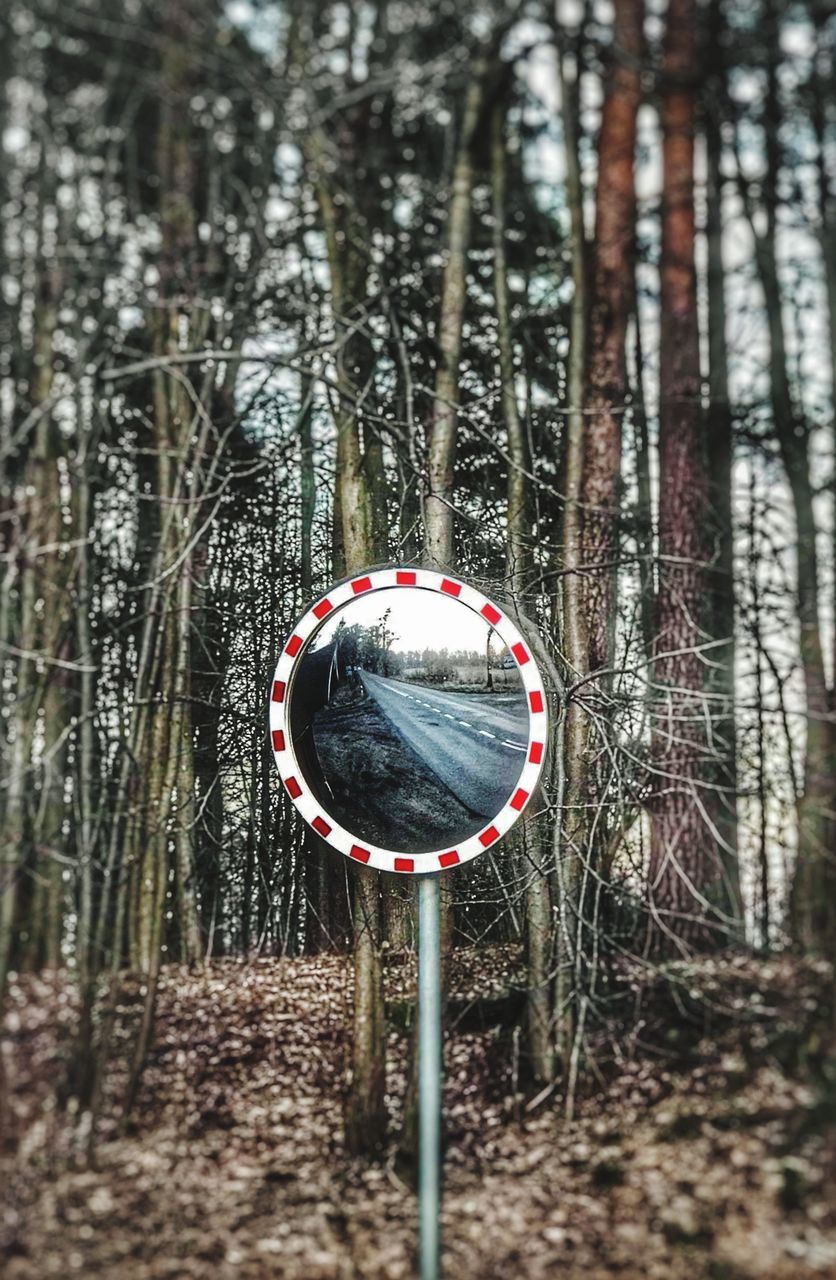 tree, plant, nature, land, forest, day, geometric shape, circle, no people, shape, outdoors, winter, reflection, selective focus, tranquility, sphere, non-urban scene, sign, beauty in nature, woodland