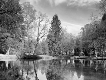 Reflection of trees in lake against sky