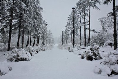 Snow covered landscape against sky