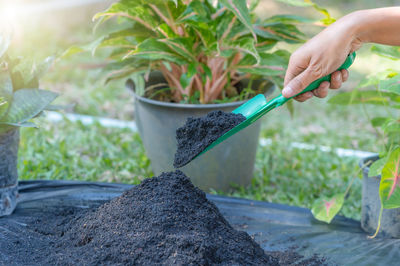 Preparation of soil mixture from fertile compost, humus and vermiculite on black garbage bag floor 