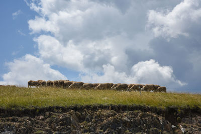 Hay bales on field against sky