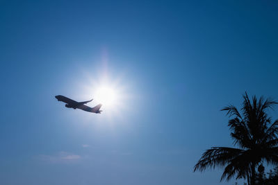 Low angle view of silhouette bird flying in sky