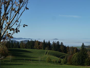 Scenic view of field against sky