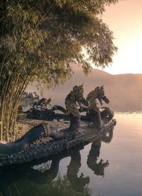 Reflection of tree on lake against sky during sunset