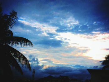 Low angle view of silhouette palm trees against sky