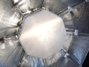 Close-up high angle view of sunlight