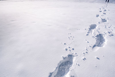 High angle view of footprints on snow covered field