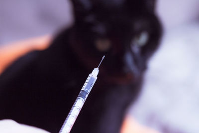 Close-up of human hand holding cigarette