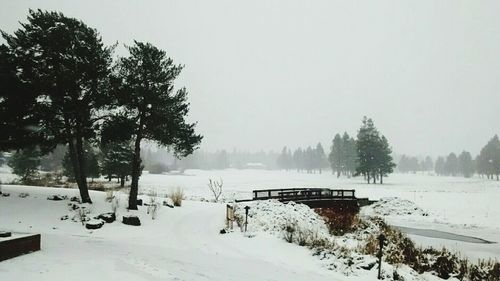 Scenic view of snow covered field