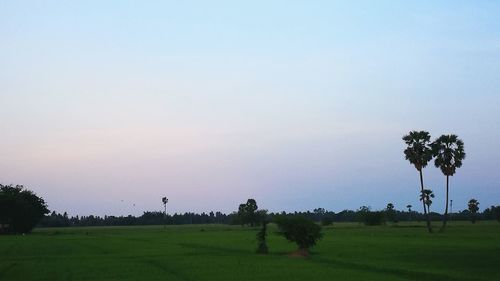 Scenic view of field against sky during sunset