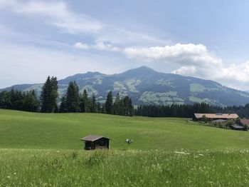 Scenic view of field and mountains against sky - alps austria