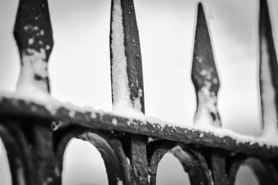 Close-up of metal fence during winter