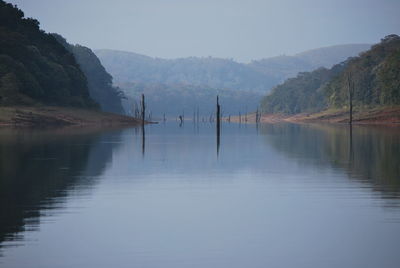 Reflection of trees in calm lake