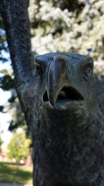 Close-up portrait of horse