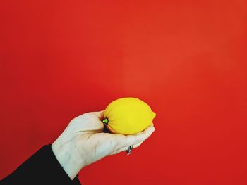 Cropped hand holding orange fruit against yellow background