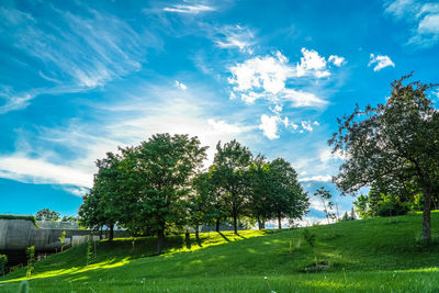 Trees on landscape against sky