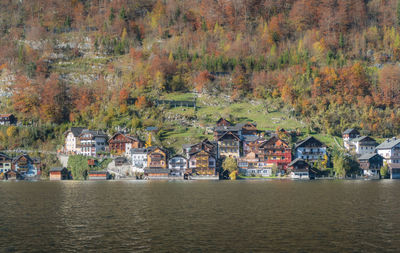Houses by trees and buildings during autumn
