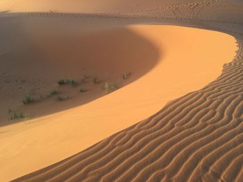 Scenic view of sand dune in desert