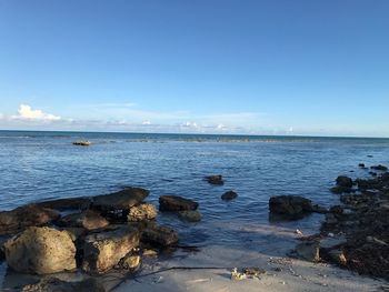 Scenic view of sea against clear blue sky