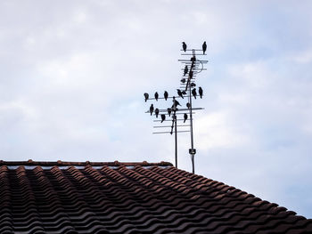 Low angle view of birds perching on antenna against sky