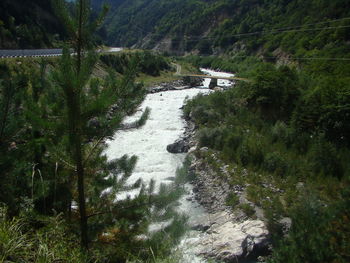 Scenic view of waterfall in forest