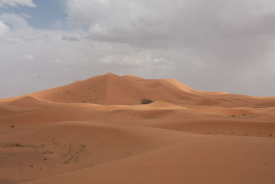 Scenic view of desert against sky