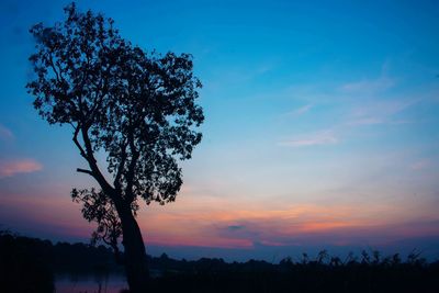 Silhouette tree on field against sky at sunset