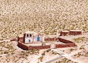 Houses and trees in a desert