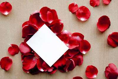 High angle view of red rose on table