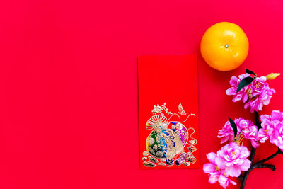 Close-up of pink flowering plant against red wall