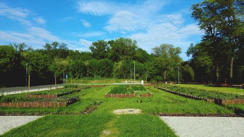 Scenic view of green landscape