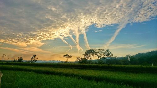 Scenic view of field against sky at sunset